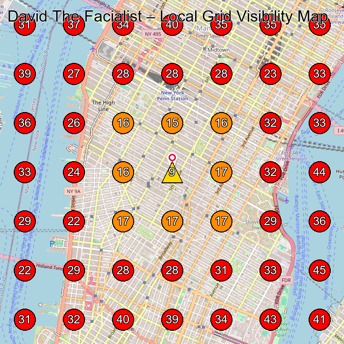 David The Facialist GeoGrid visibility map for Facial Spa in New York
